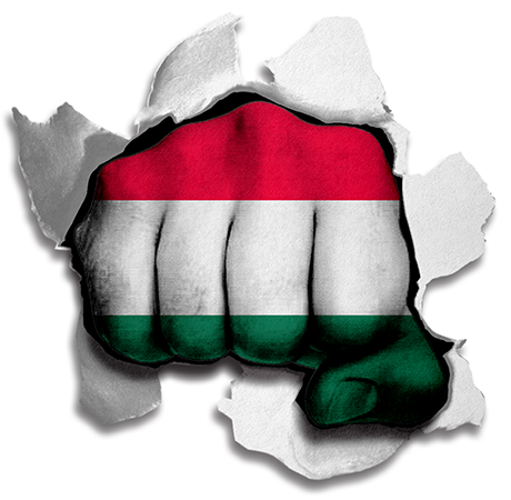 Fist Hungary Flag Logo vinyl decal